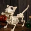 10.5 Inch Digger The Dog Skeleton Decoration