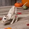 11-Inch Lil' Kitty Skeleton Prop