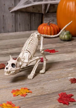 11-Inch Lil' Kitty Skeleton Prop