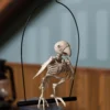 12.5" Perched Skeleton Halloween Parrot Decoration