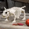 14.75-Inch Pig Skeleton Decoration