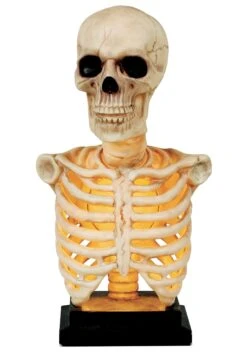 16 Inch Skeleton Bust Prop With Light And Sound -Halloween Decoration Store 16 skeleton bust with light and sound alt 3