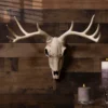 21-Inch Buck Skull Decoration