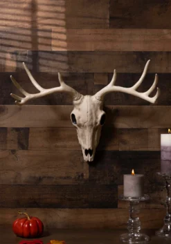 21-Inch Buck Skull Decoration