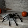 Fun World 36" Giant Jumping Spider