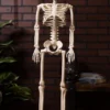Posable 36-Inch Skeleton Decoration