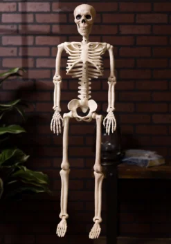 Posable 36-Inch Skeleton Decoration