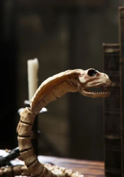 39-Inch Cobra Skeleton Prop -Halloween Decoration Store 39 cobra skeleton halloween decoration alt 2 update 1