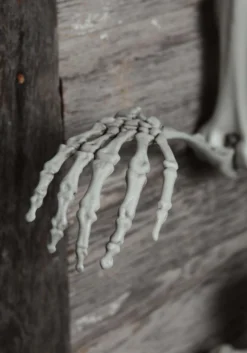 5 Foot Posable Georgie The Skeleton Life Size Halloween Decoration 11 5 Foot Posable Georgie The Skeleton Life Size Halloween Decoration -Halloween Decoration Store 5 ft posable skeleton alt 3