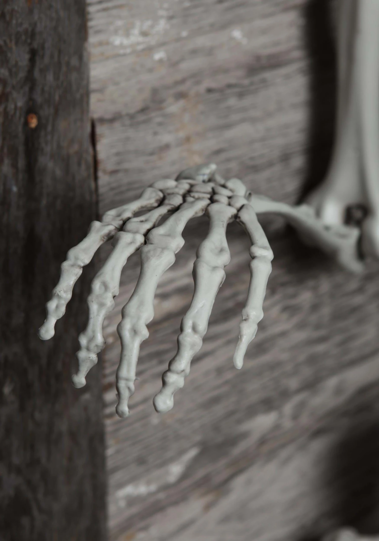 5 Foot Posable Georgie The Skeleton Life Size Halloween Decoration 4 5 Foot Posable Georgie The Skeleton Life Size Halloween Decoration - Image 4