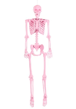 5 Foot Poseable Crazy Bones Skeleton In Pink Halloween Decoration 5 5 Foot Poseable Crazy Bones Skeleton In Pink Halloween Decoration -Halloween Decoration Store 5ft poseable crazy bones skeleton in pink decoration alt 2