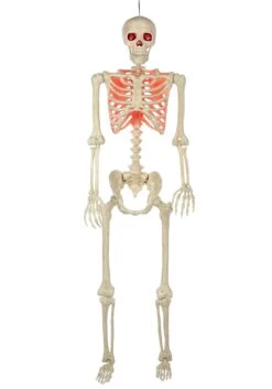 5 Foot Red Light Up Face And Chest Poseable Skeleton Halloween Decoration -Halloween Decoration Store 5ft poseable red light up face chest skeleton alt 3