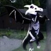 5FT Hanging Skeleton Dragon Inflatable Decoration