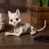 Cute Skeleton Cat Prop Decoration