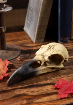 6 Inch Corvus Alchemica Skull Decoration