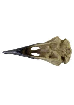 6 Inch Corvus Alchemica Skull Decoration -Halloween Decoration Store 6 inch corvus alchemia skull alt 2