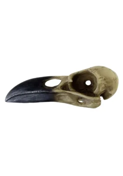 6 Inch Corvus Alchemica Skull Decoration -Halloween Decoration Store 6 inch corvus alchemia skull alt 3
