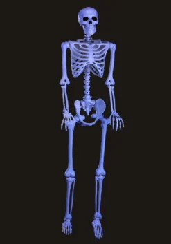60 Inch Blacklight Ghostly Skeleton Halloween Prop