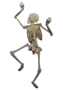 62-Inch Folding Back View Skeleton Halloween Decoration