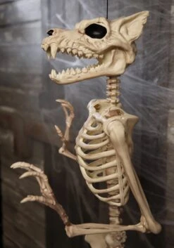 64'' Pose-N-Stay Werewolf Skeleton Halloween Decoration -Halloween Decoration Store 64 pose n stay werewolf skeleton halloween decoration alt 1