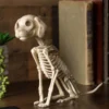 Sitting 7.5 Inch Puppy Skeleton Decoration