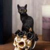 7 Inch Black Cat Sitting Skull Decoration
