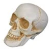 7" Realistic Talking Skull Decoration