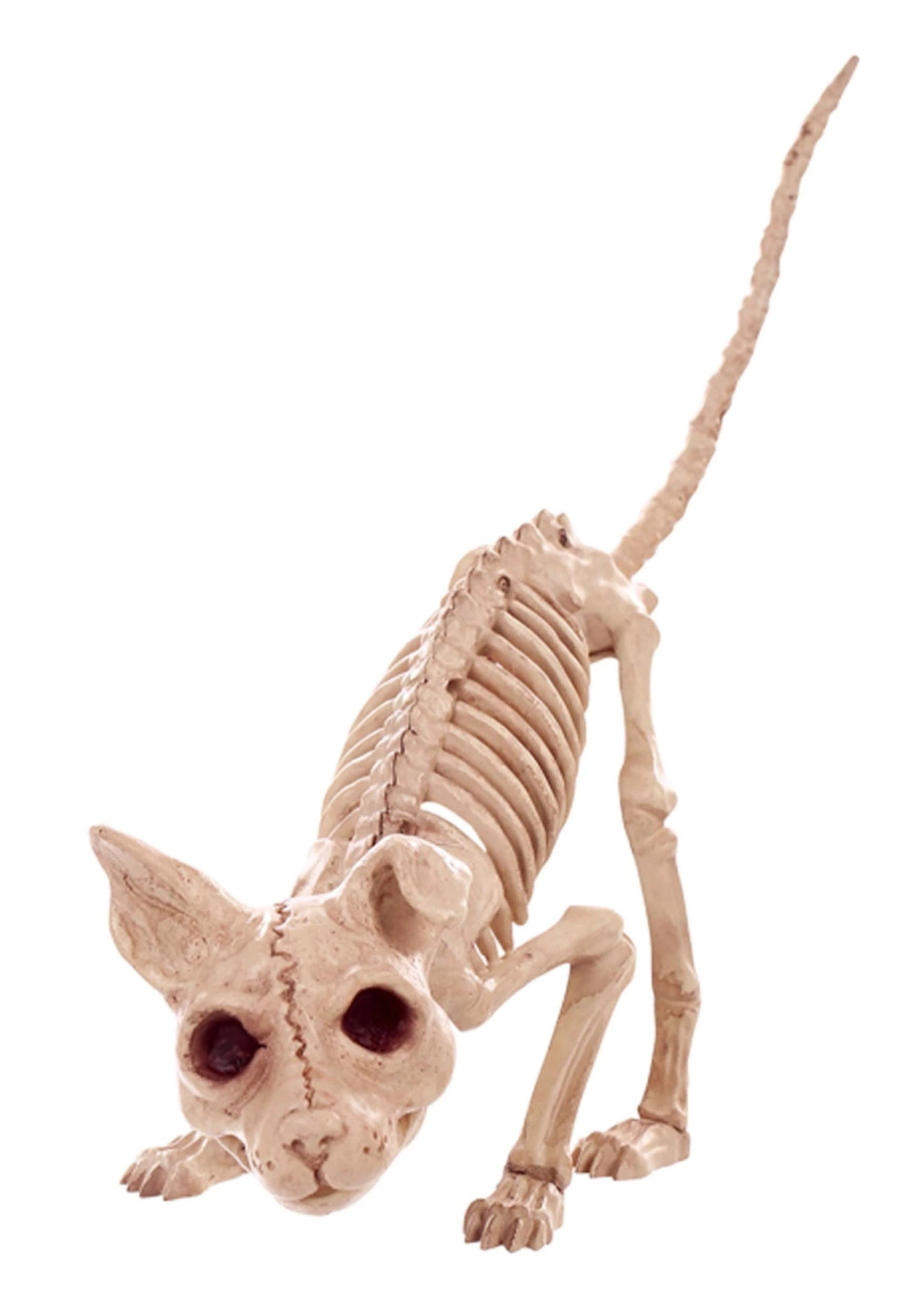 Kitty 7.5" Skeleton 1 Kitty 7.5" Skeleton