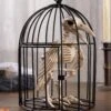9.5" Skeleton Raven In Cage Decoration