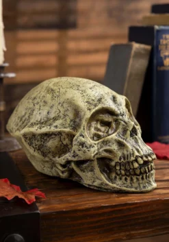 Alien Skull Spooky Prop