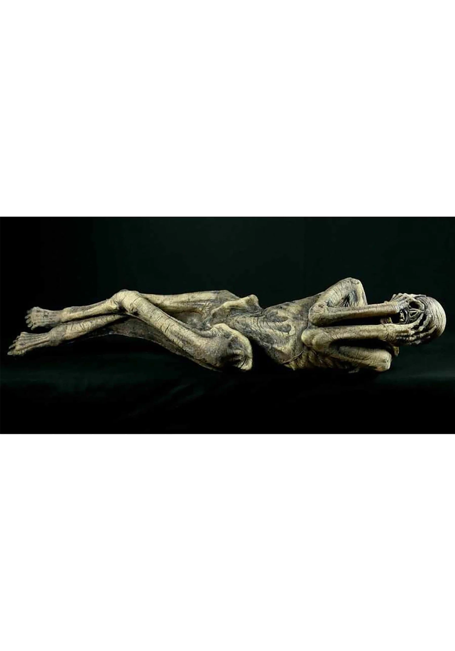 Ancient Mummy Prop 2 Ancient Mummy Prop - Image 2