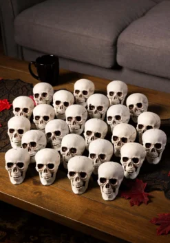 Set Of 24 Skulls Decoration