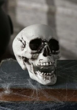 Set Of 24 Skulls Decoration -Halloween Decoration Store bag of 24 skulls mc0151 alt 2