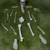 Bag Of Skeleton Bones Halloween Decoration