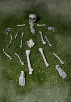 Bag Of Skeleton Bones Halloween Decoration