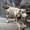 Beagle Bonez 20 Inch Skeleton Dog Decoration