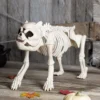 Bones The Hungry Hound Skeleton Dog