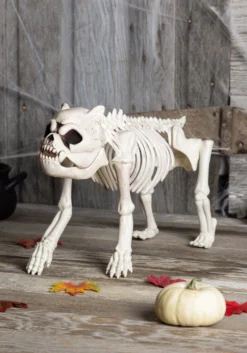 Bones The Hungry Hound Skeleton Dog