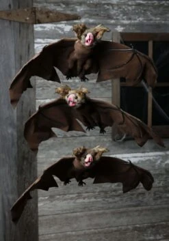 3 Pack Brown Prop Bats