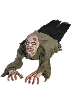 Crawling Zombie