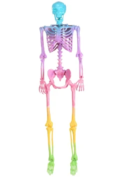 5 Foot Poseable Crazy Bones Skeleton In Rainbow Halloween Decoration -Halloween Decoration Store crazy bones poseable skeleton in rainbow alt 1