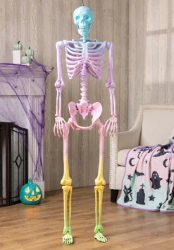 5 Foot Poseable Crazy Bones Skeleton In Rainbow Halloween Decoration