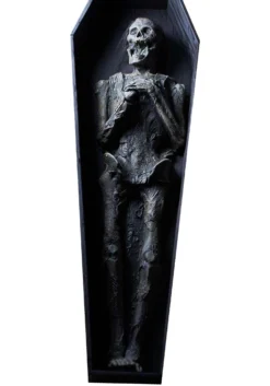 Decomposing Skeleton Corpse 5.25 Ft Halloween Prop