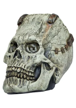 Franky Skull Prop Decoration