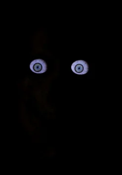 Giant 8 Foot Animated Skeleton Decoration 14 Giant 8 Foot Animated Skeleton Decoration -Halloween Decoration Store giant 8 animated skeleton decoration alt 3