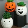 Halloween Pumpkin, Ghost, And Mummy Succulent Planter Set