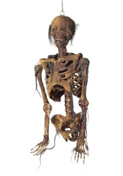 Rotting Skeleton Torso Hanging Light Up Decoration -Halloween Decoration Store hanging light up rotting skeleton torso decoration alt 3