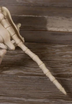 Howling Bonez 27" Animated Dog Skeleton Halloween Prop -Halloween Decoration Store howling bonez animated dog skeleton alt 3