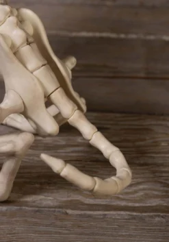 Howling Bonez 27" Animated Dog Skeleton Halloween Prop -Halloween Decoration Store howling bonez animated dog skeleton alt 4