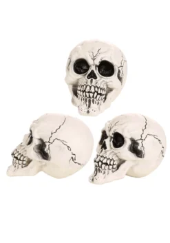 Large 12 Pack Of Skulls Decoration -Halloween Decoration Store large skull 12 pack cy21082 alt 3